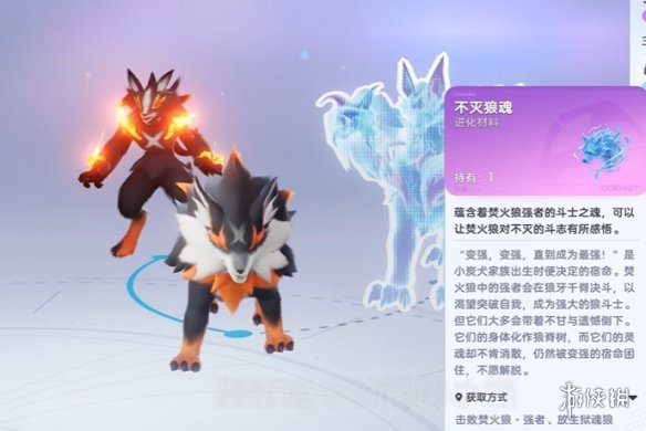 网2