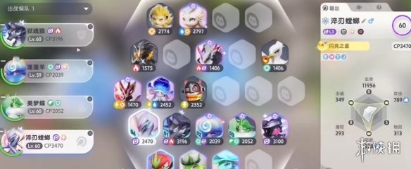 网1